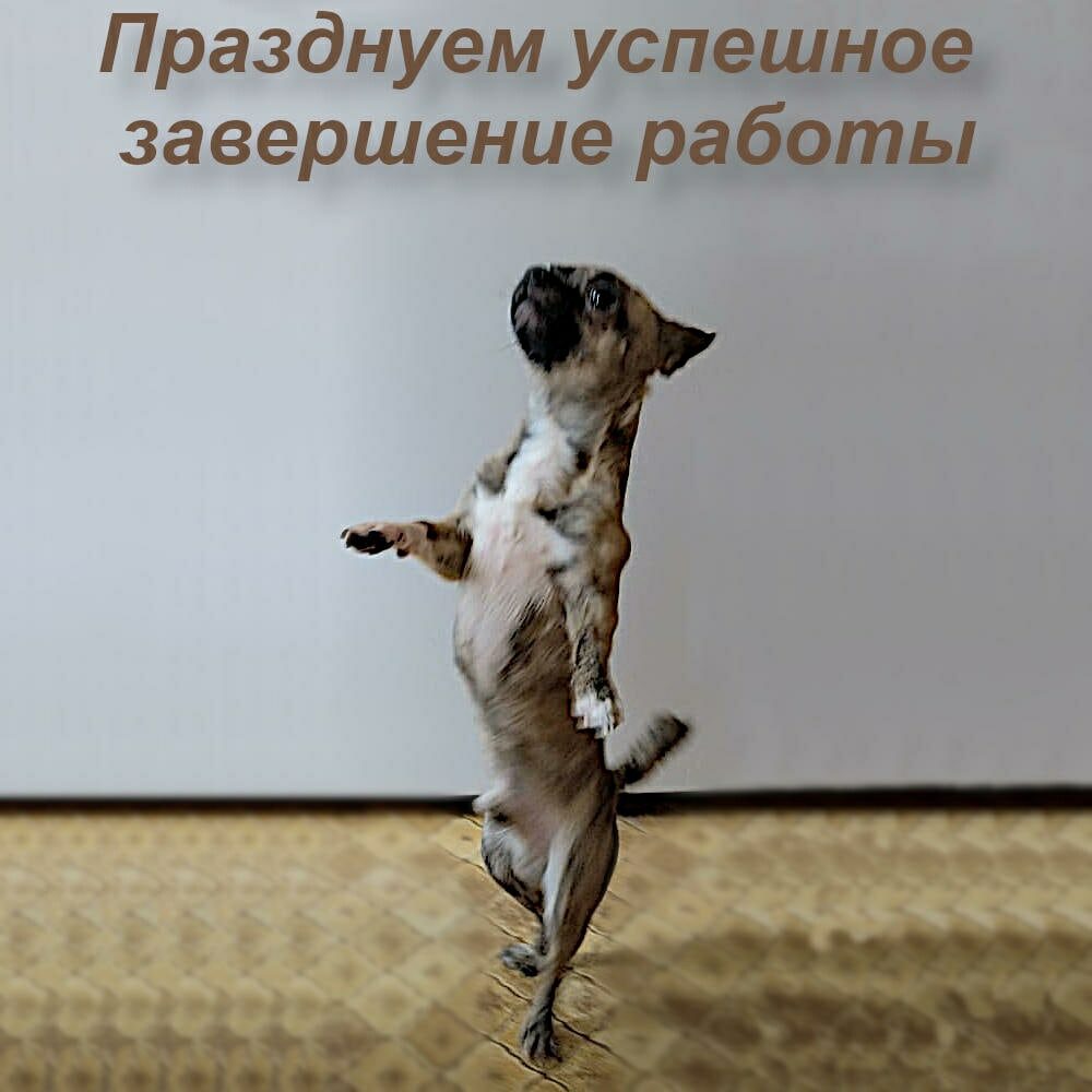 Необычный помощник