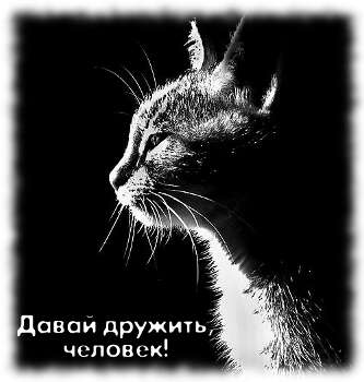 Боль и праздник души
